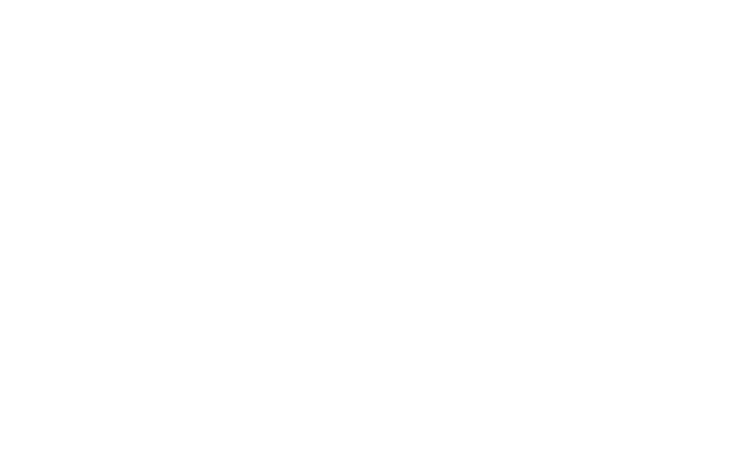 Chain & Sprocket